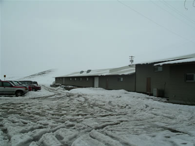 The rear of the factory and part of the staff car park - so that is what snow looks like